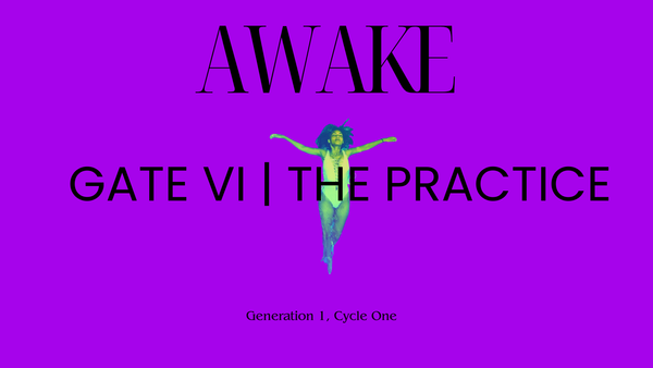 Gate VI | The Practice