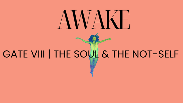 Gate VIII |  The Soul & The Not-Self