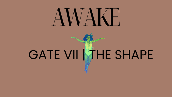 Gate VII | The Shape
