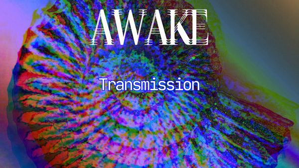 Returning from the Dreamtime :: a Dream Imprinting Prayer + Ritual